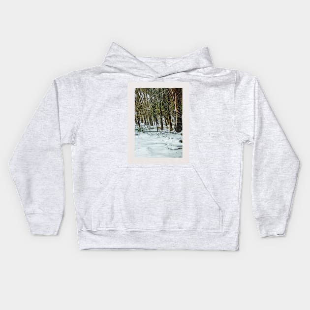 Snow amongst trees Kids Hoodie by PandLCreations